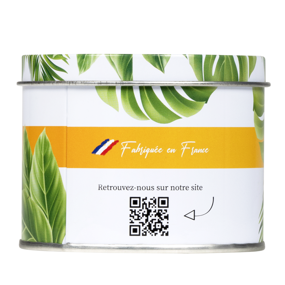 Anti Moustique Bougie Métallique Intérieur 22 Heures de Protection - Terra nostra shop