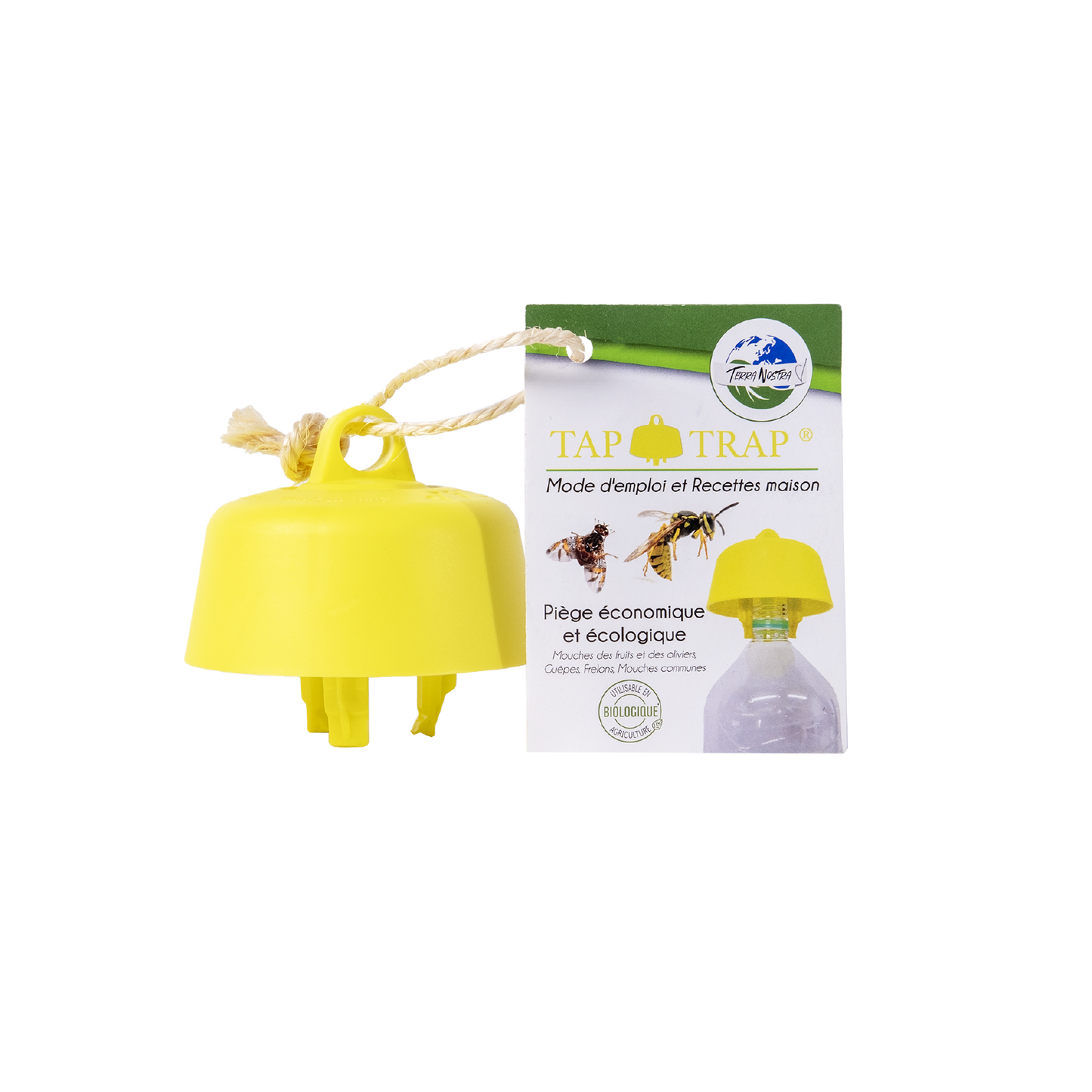 Piège Bouteille Ecologique Guêpe et Frelons avec Recettes Terra Nostra