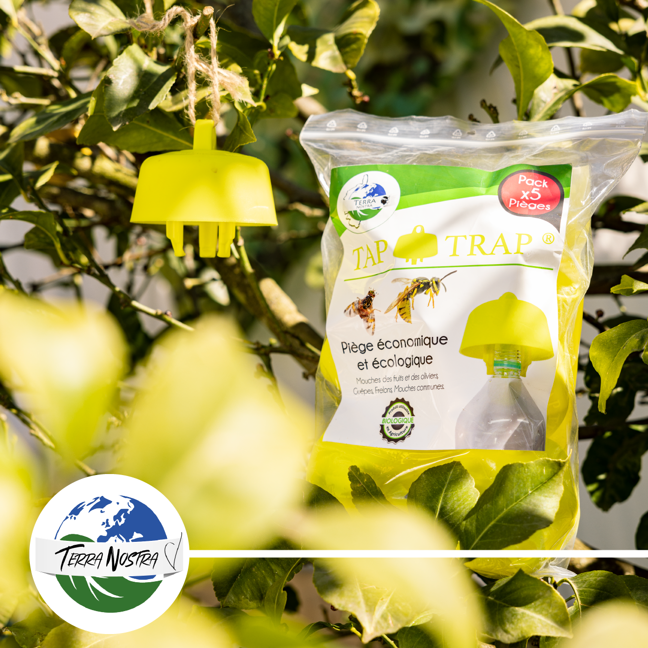 Piège Bouteille Ecologique Guêpe et Frelons avec Recettes Terra Nostra - Terra nostra shop