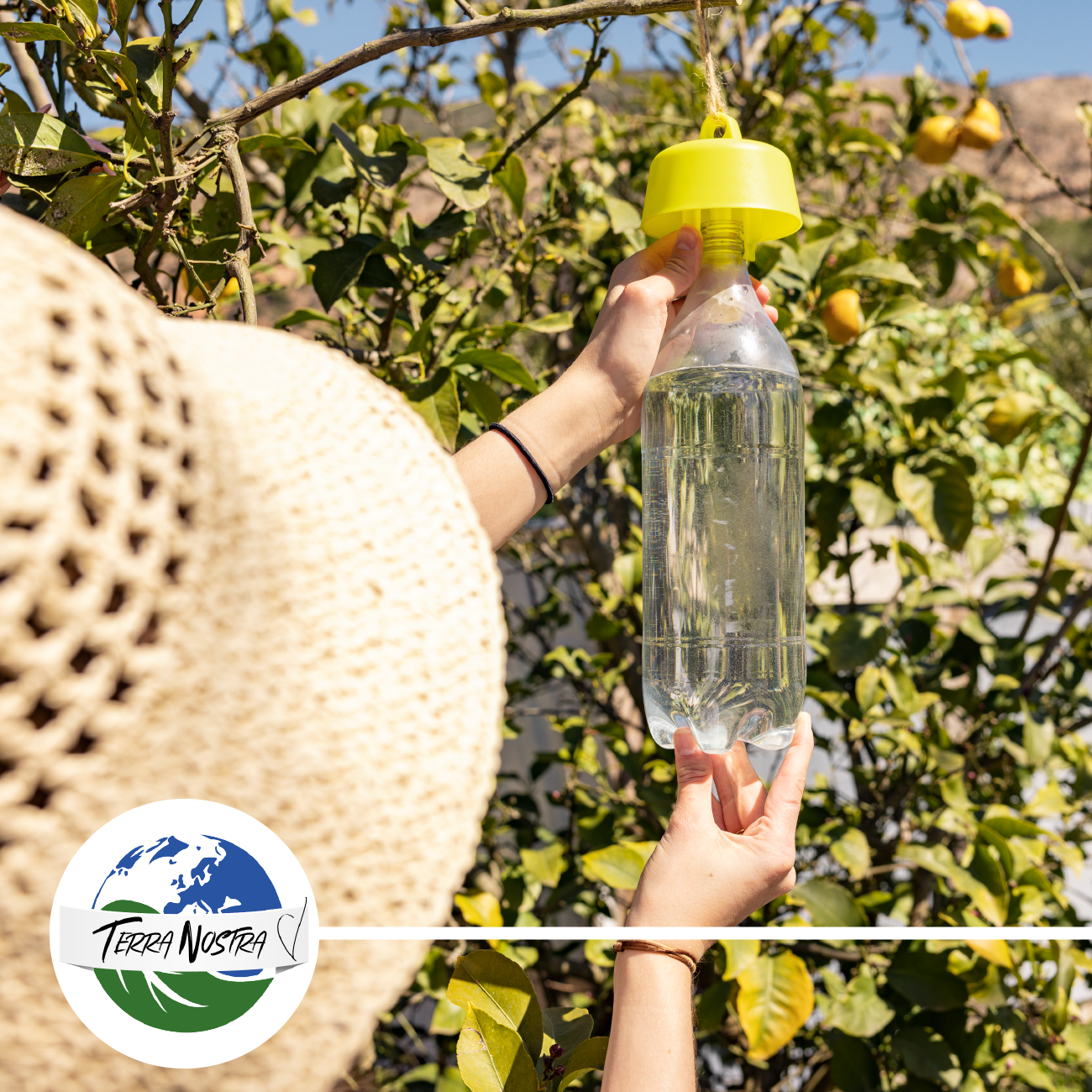 Piège Bouteille Ecologique Guêpe et Frelons avec Recettes Terra Nostra - Terra nostra shop
