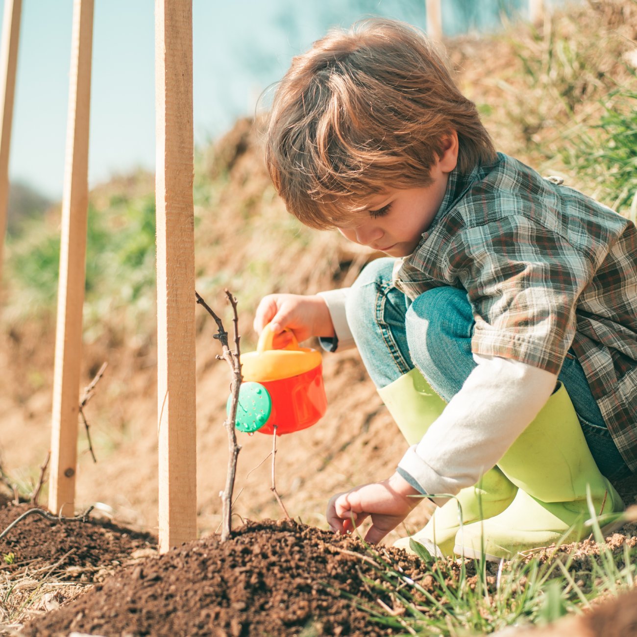 Bestseller - Terra Nostra