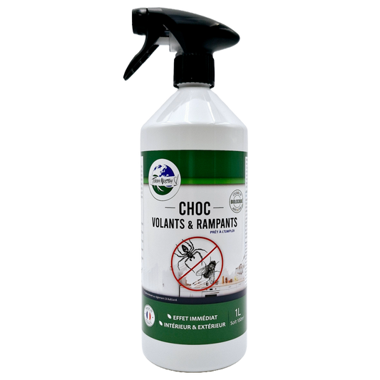Choc Volants & Rampants