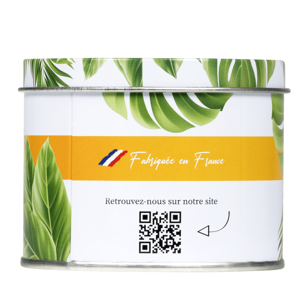 Anti Moustique Bougie Métallique Intérieur 22 Heures de Protection - Terra Nostra - insecticides a base de produits naturels