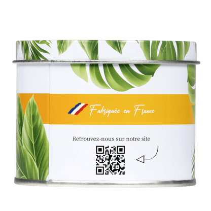 Anti Moustique Bougie Métallique Intérieur 22 Heures de Protection - Terra Nostra - insecticides a base de produits naturels