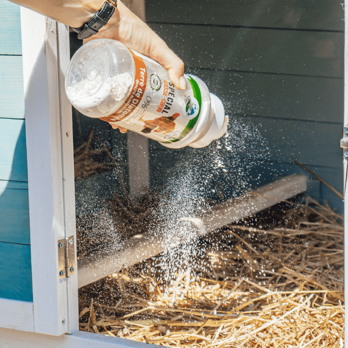 Basse Cour Naturel Terre de Diatomée Poudreuse 300g - Terra Nostra - insecticides a base de produits naturels