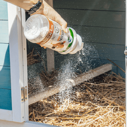 Basse Cour Naturel Terre de Diatomée Poudreuse 300g - Terra Nostra - insecticides a base de produits naturels