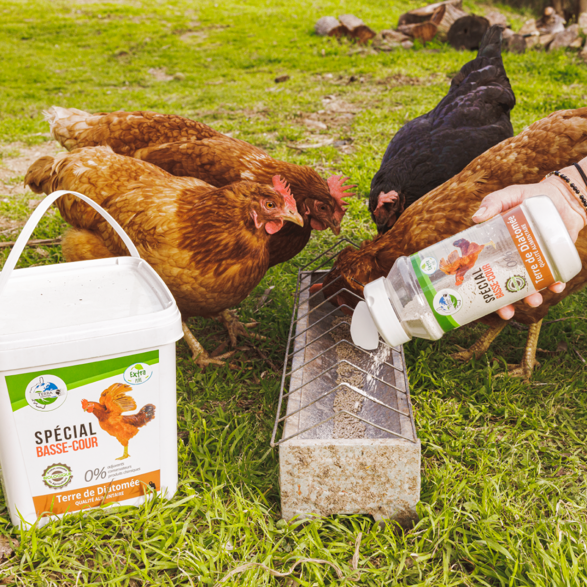 Basse Cour Naturel Terre de Diatomée Poudreuse 300g - Terra Nostra - insecticides a base de produits naturels