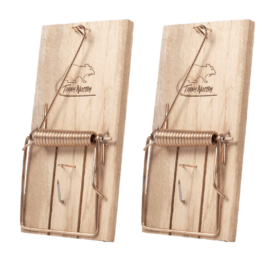 Grande Tapette à Rats & Souris en Bois Lot de 2 Tapettes - Terra Nostra - insecticides a base de produits naturels