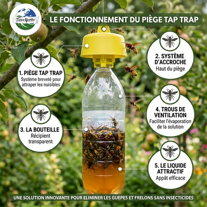 Piège Bouteille Ecologique Guêpe et Frelons avec Recettes Terra Nostra - Terra Nostra - insecticides a base de produits naturels