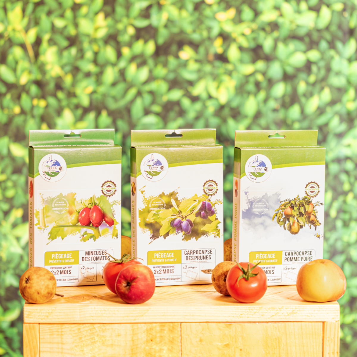 Piège Carpocapse des Prunes x2 Plaques - Terra Nostra - insecticides a base de produits naturels