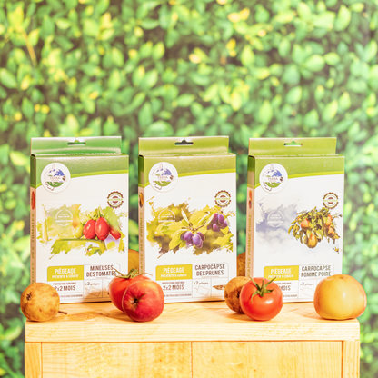 Piège Carpocapse des Prunes x2 Plaques - Terra Nostra - insecticides a base de produits naturels