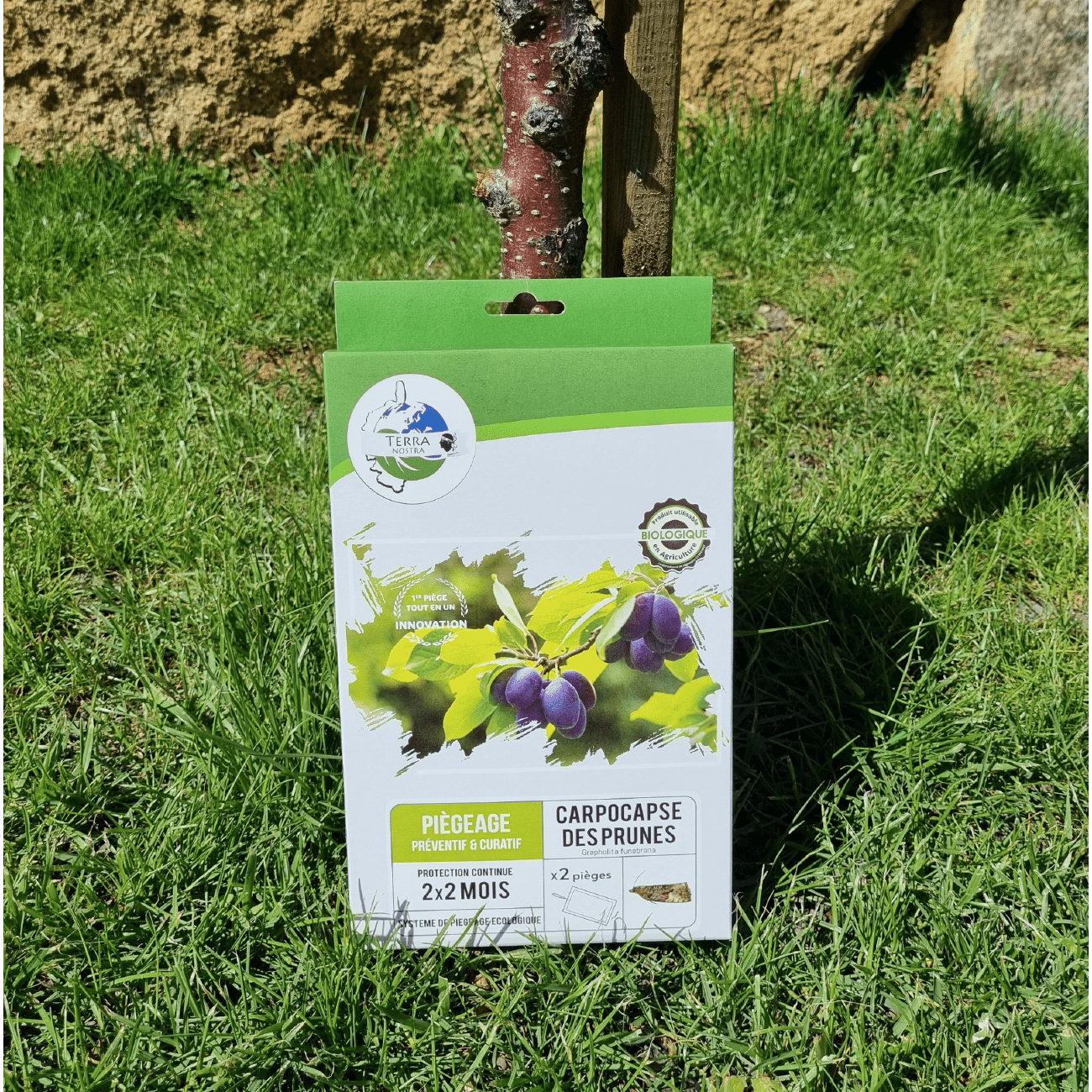 Piège Carpocapse des Prunes x2 Plaques - Terra Nostra - insecticides a base de produits naturels