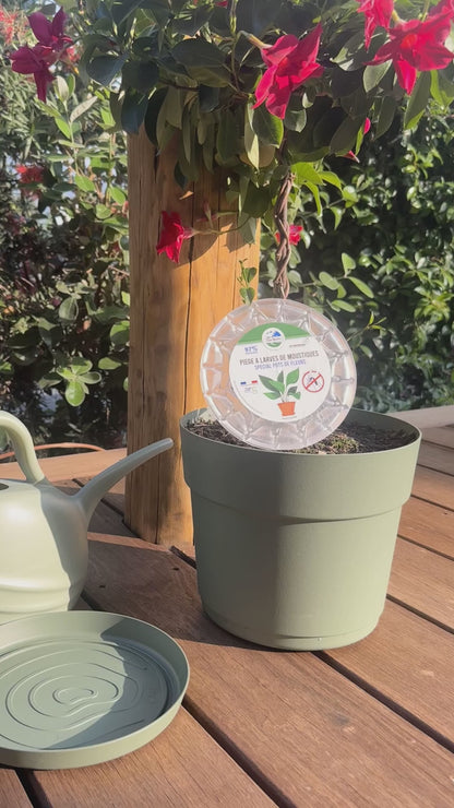 Piège à Larves de Moustiques Terra Nostra – Spécial Coupelle de Pot de Fleurs