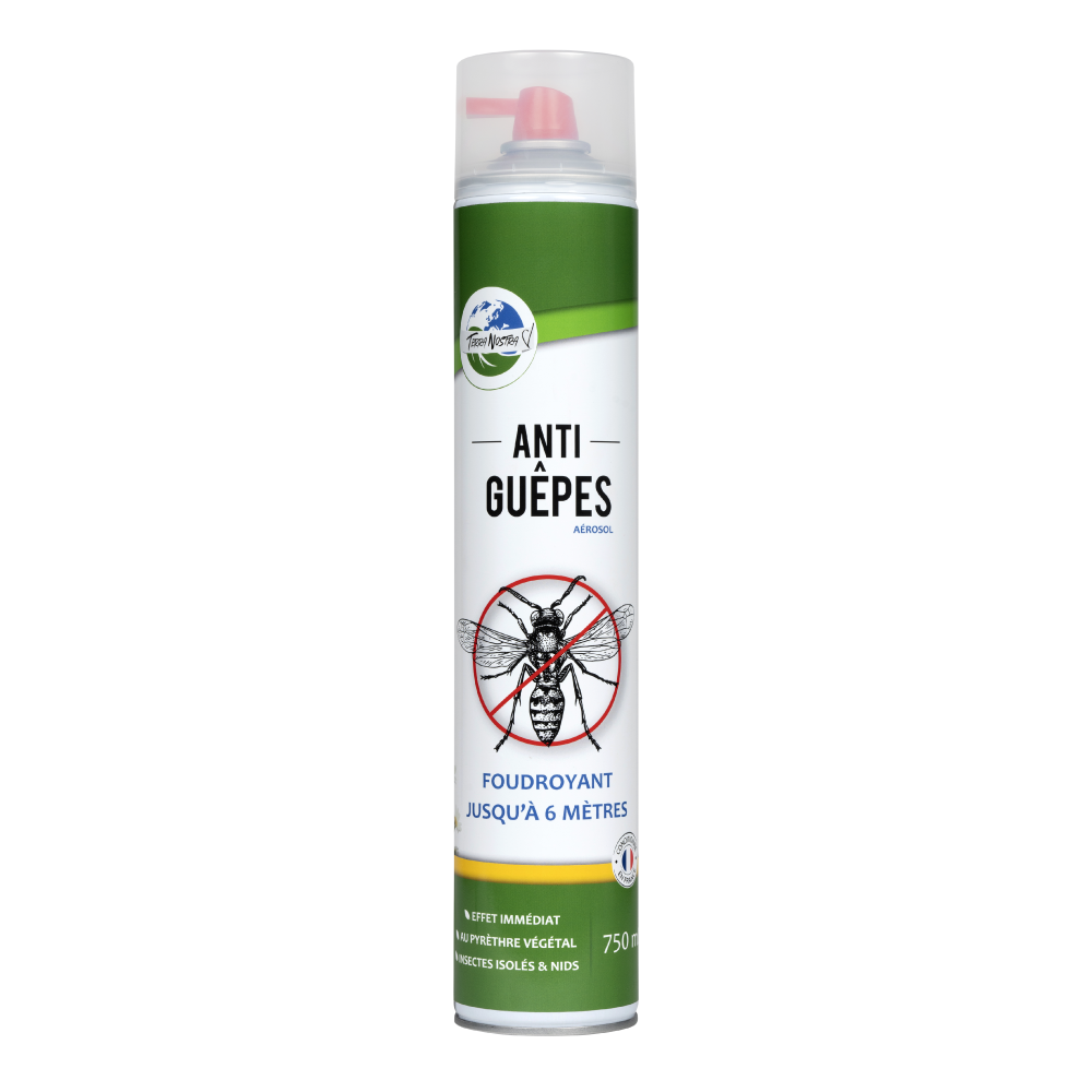 Insecticide aérosol guêpes et frelons KAPO, 500 ml
