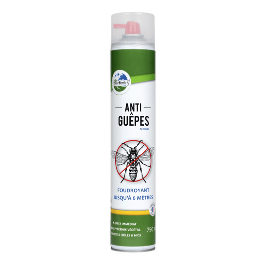 Guêpe et Frelon Jet 6m Aérosol 750ml Action Choc - Terra Nostra - insecticides a base de produits naturels