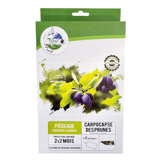 Piège Carpocapse des Prunes x2 Plaques - Terra Nostra - insecticides a base de produits naturels